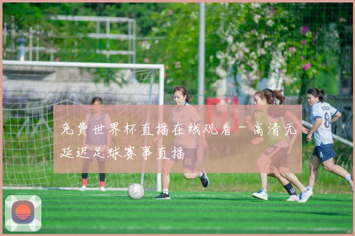 免费世界杯直播在线观看 - 高清无延迟足球赛事直播