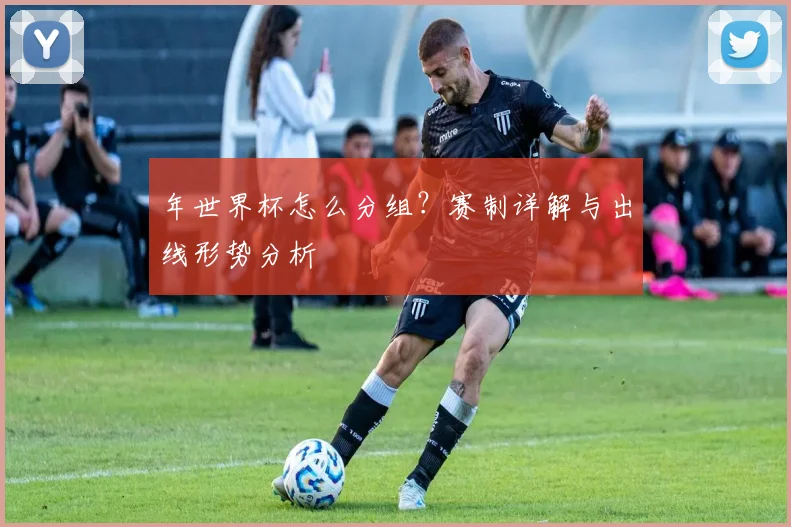 年世界杯怎么分组？赛制详解与出线形势分析